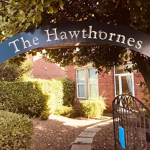 The Hawthornes Licensed Knottingly